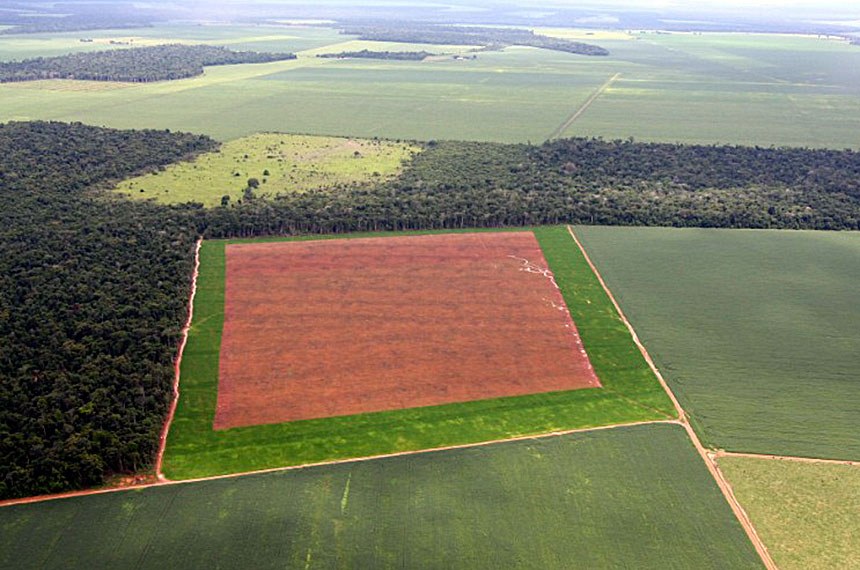 SENADO FEDERAL: Comissão deve discutir moratória da soja na Amazônia