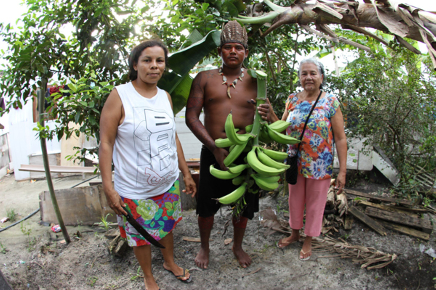 AMAZÔNIA.ORG: Indígenas e quilombolas do AM vão receber mais de sete toneladas de alimentos
