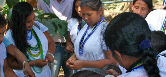 COICA: Alianzas de cacao: Cómo la colaboración ayuda a los Arhuacos de Colombia a conservar el bosque y mejorar oportunidades económicas.