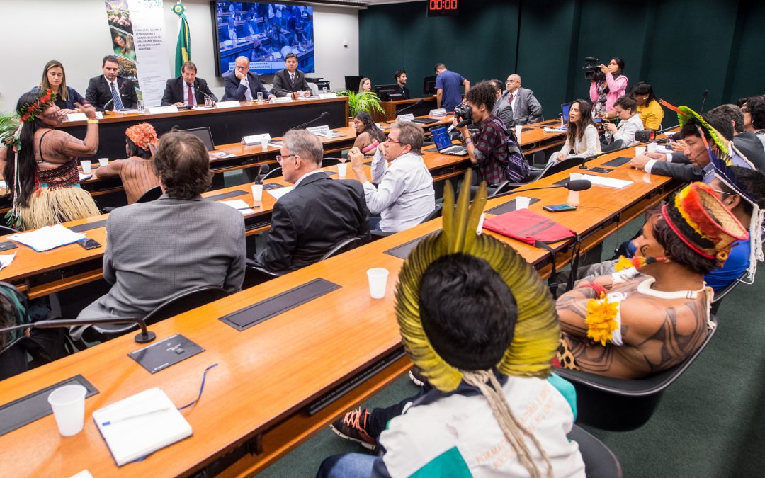 FUNAI: Câmara debate impactos da Ferrogrão junto a lideranças indígenas e institutos ligados ao meio ambiente