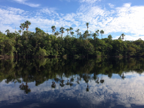 FOIRN: Anúncio de Chamamento para estabelecer parceria e contrato de turismo de pesca esportiva nas Terras Indígenas UNEUIXI e JURUBAXI-TÉA em Santa Isabel do Rio Negro, Amazonas