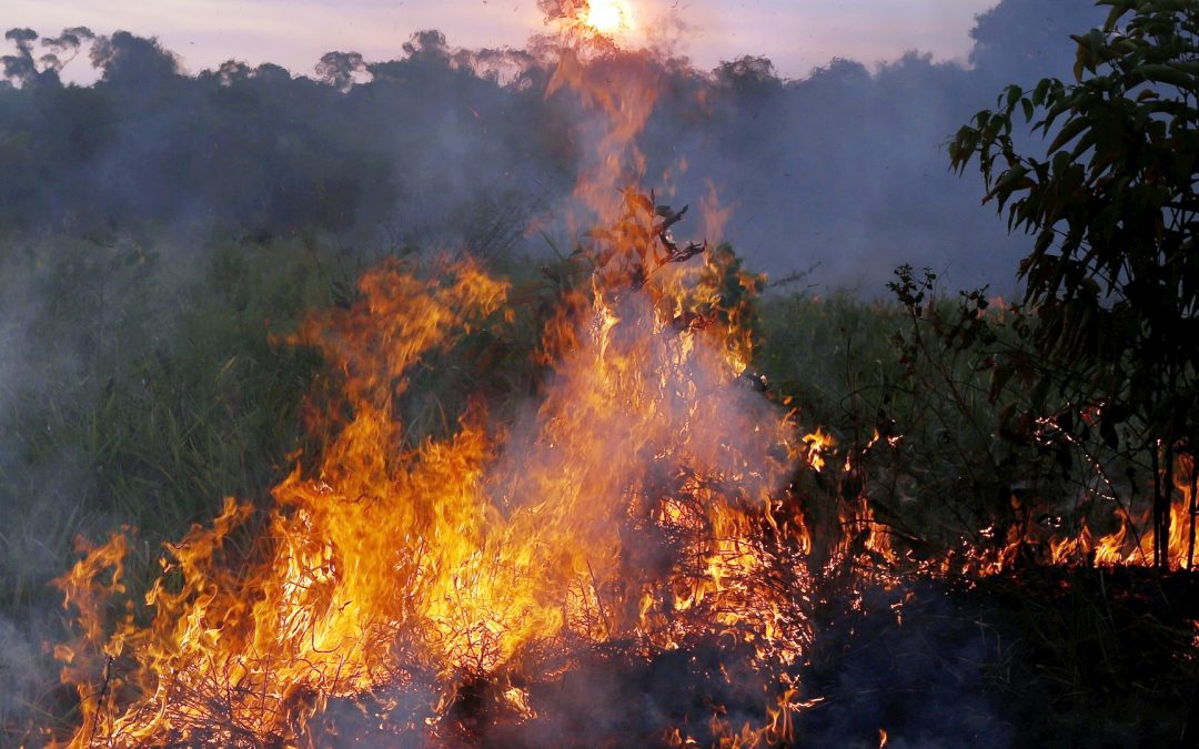AMAZÔNIA-NOTÍCIA E INFO: Amazônia – Maior afetada por queimadas em 2018