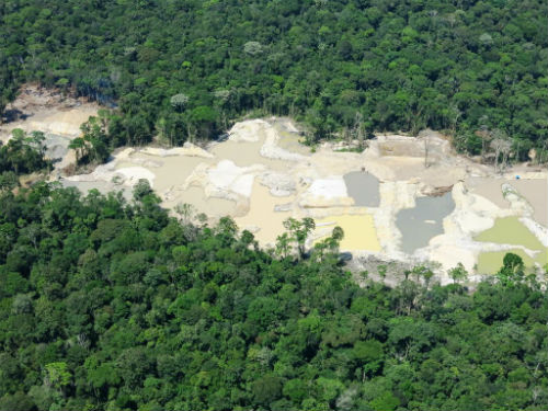 AMAZÔNIA – Notícias e Informações sobre a Amazônia Legal: Um terço das áreas protegidas do mundo está sob intensa pressão humana, dizem cientistas