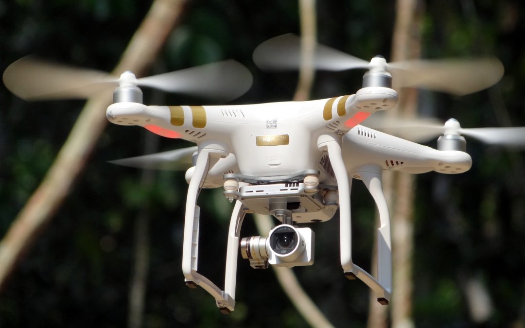 MINISTÉRIO DO MEIO AMBIENTE: Concessões florestais serão monitoradas por drones