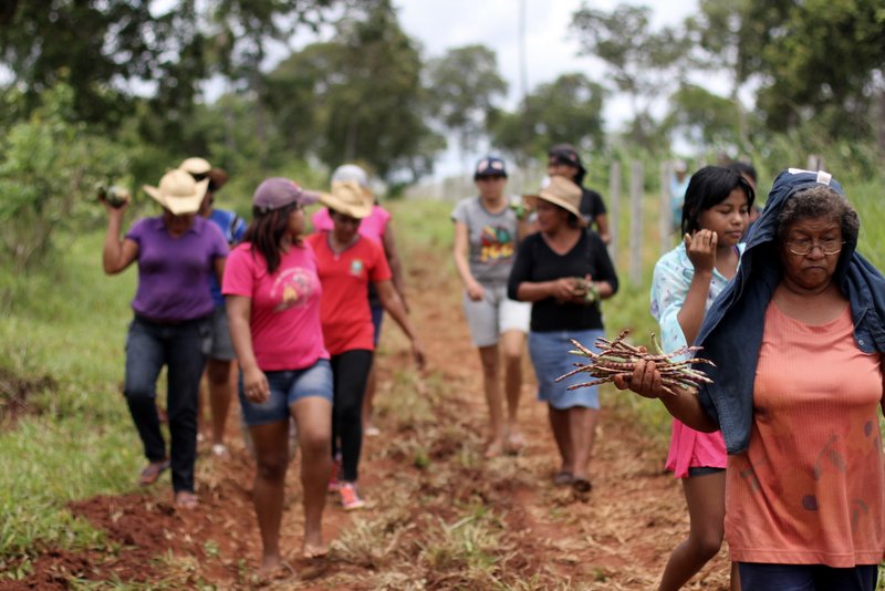 CONSELHO INDIGENISTA MISSIONÁRIO: Mato Grosso do Sul produz carne às custas do sofrimento indígena, diz liderança Terena