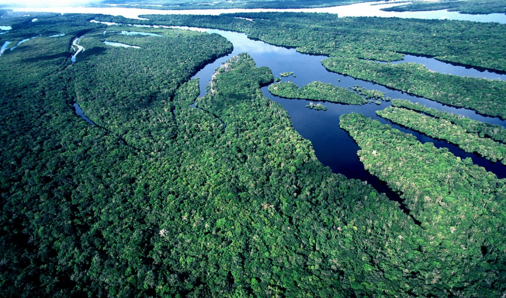 AMAZÔNIA: Estudo aponta quem é o “dono” do carbono no Brasil.