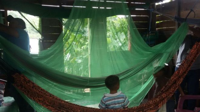 AMAZONIA: Por que os casos de malária cresceram 50% no Brasil após 6 anos de queda.