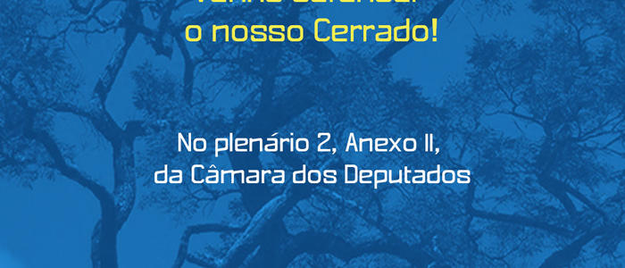 IEB – Instituto Internacional de Educação do Brasil: Organizações socioambientais querem pautar conservação do Cerrado nos programas dos candidatos à presidência