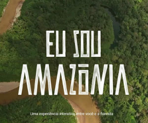 AMAZÔNIA – Notícias e Informações sobre a Amazônia Legal: Conselho aprova redução de emissão de carbono para os próximos 10 anos