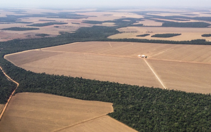 AMAZÔNIA: Fundo Amazônia é o único recurso no Brasil para custeio de combate ao desmatamento, diz ISA