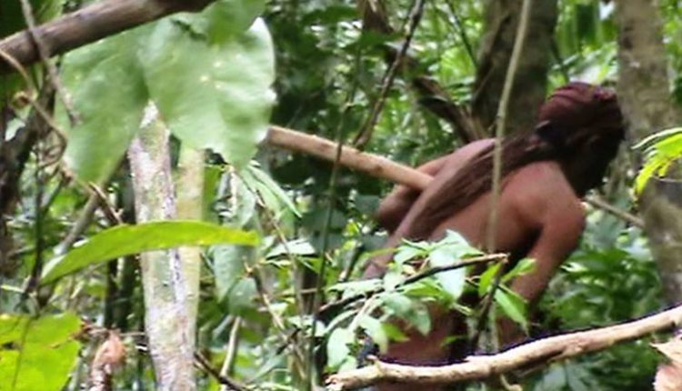 CONGRESSO EM FOCO: Vídeo mostra índio que vive isolado há 22 anos; tribo foi dizimada