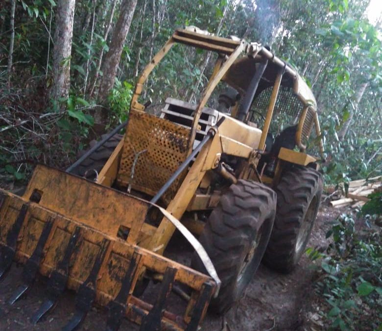 FUNAI: Funai realiza ações de fiscalização conjunta para combate ao roubo de madeira em Terras Indígenas