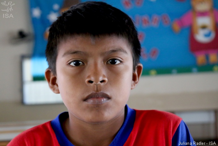ISA: Surto de malária afeta rendimento escolar no Alto Rio Negro