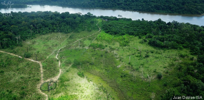 ISA: Em seis meses, 100 milhões de árvores foram derrubadas no Xingu