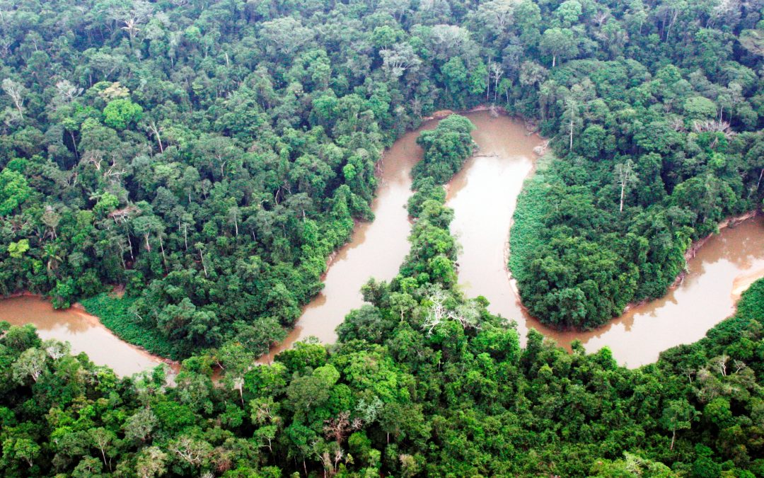 AMAZÔNIA: Justiça de Rondônia suspende tentativa de impedir criação de Unidades de Conservação no Estado