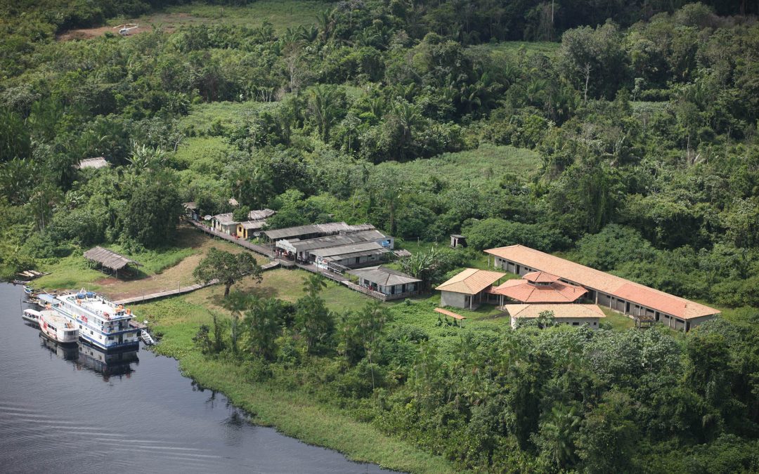 AMAZÔNIA REAL: Surto de raiva humana no Marajó é investigado como “omissão”