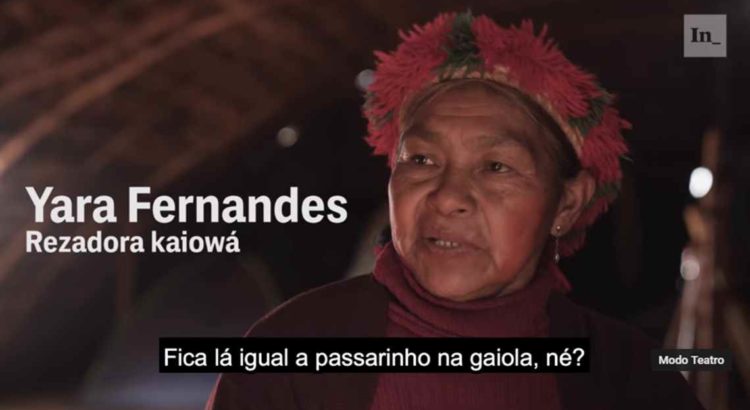 AMAZÔNIA: ‘Esquece do seu filho’: o Brasil está tirando crianças indígenas de suas mães e colocando para adoção