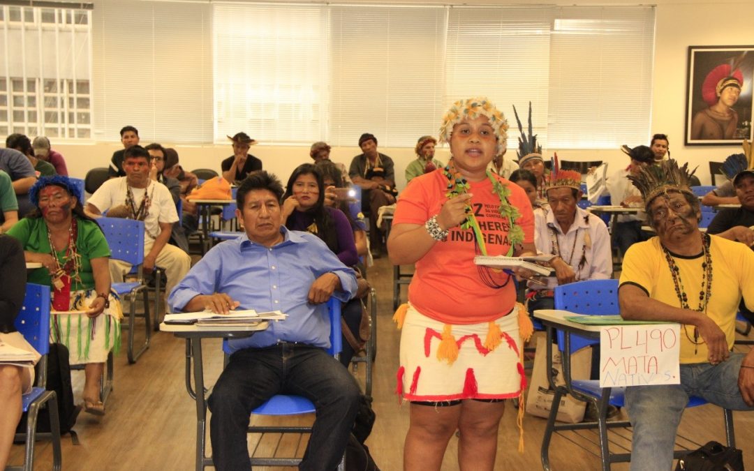 CIMI: Delegação Guarani e Kaiowá em Brasília: “Digam a verdade”