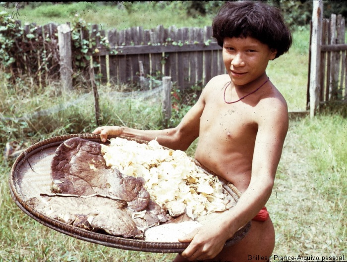 ISA: Pioneiro de pesquisa sobre cogumelos indígenas reencontra os Sanöma