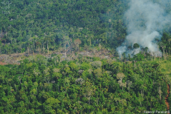 ISA: Desmatamento explode em Terras Indígenas impactadas por Belo Monte, no Pará