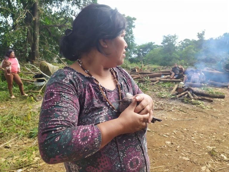 JORNALISTAS LIVRES: Itaú e dono da Ambev são acionistas de construtora que assusta índios em São Paulo
