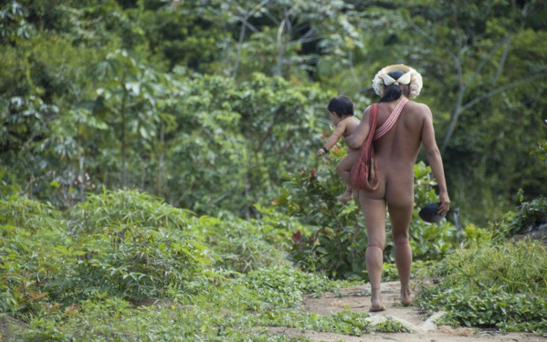 AMAZÔNIA NOTÍCIA E INFORMAÇÃO: “Há risco de danos irreparáveis”, dizem servidores da Funai sobre nome que coordenará índios isolados
