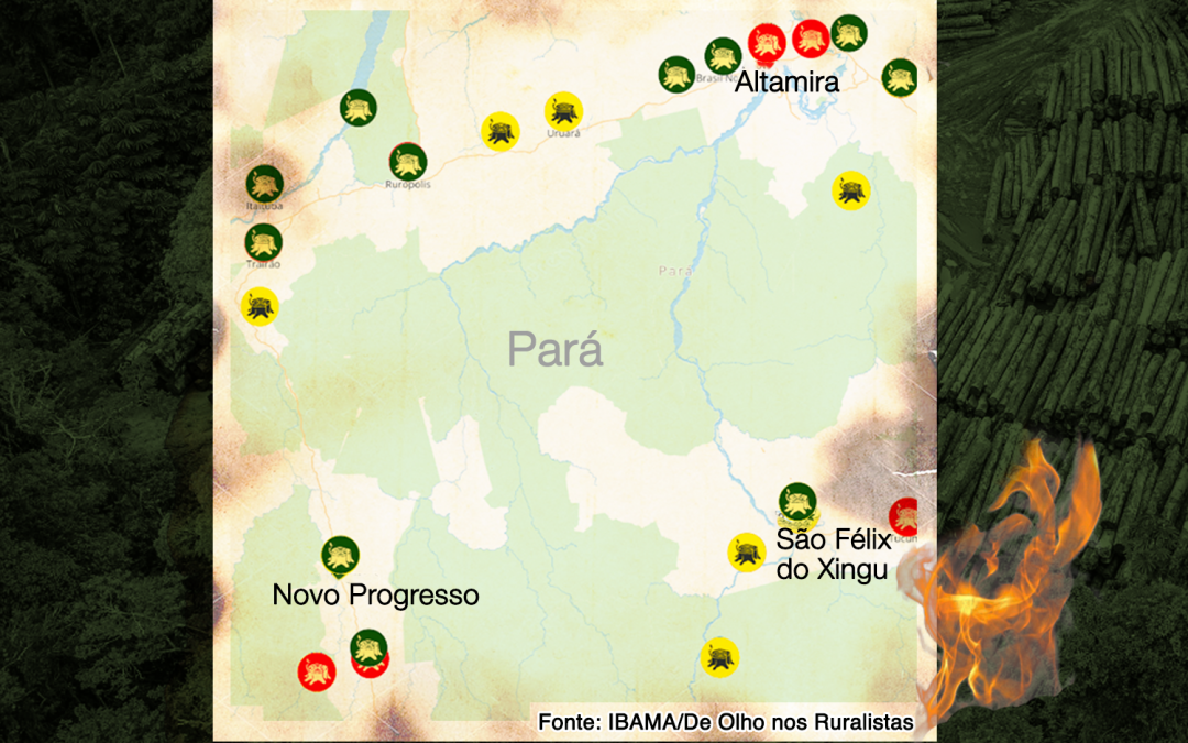 DE OLHO NOS RURALISTAS: Mapa mostra, por município, os maiores multados por desmatamento nos últimos 25 anos