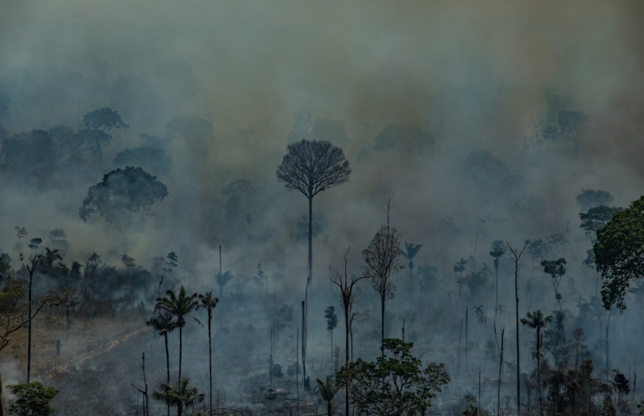 DE OLHO NOS RURALISTAS: Multas do Ibama por desmatamento somam R$ 35 bilhões desde 1995; cem maiores do ranking, R$ 7 bilhões