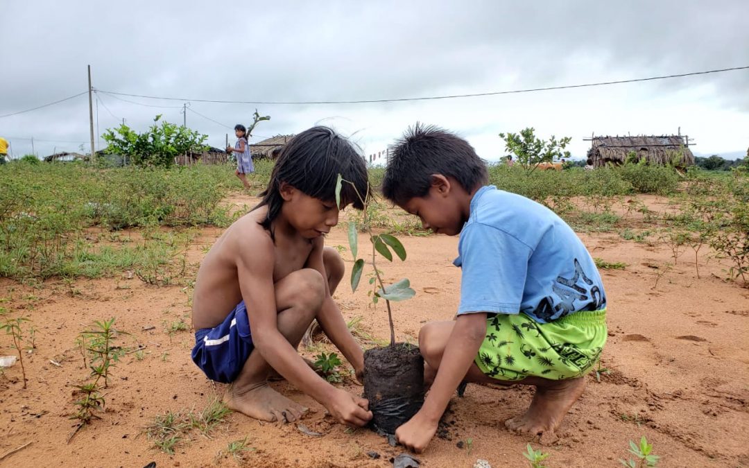 FUNAI: Funai apoia recuperação ambiental de aldeias Xavante em Mato Grosso