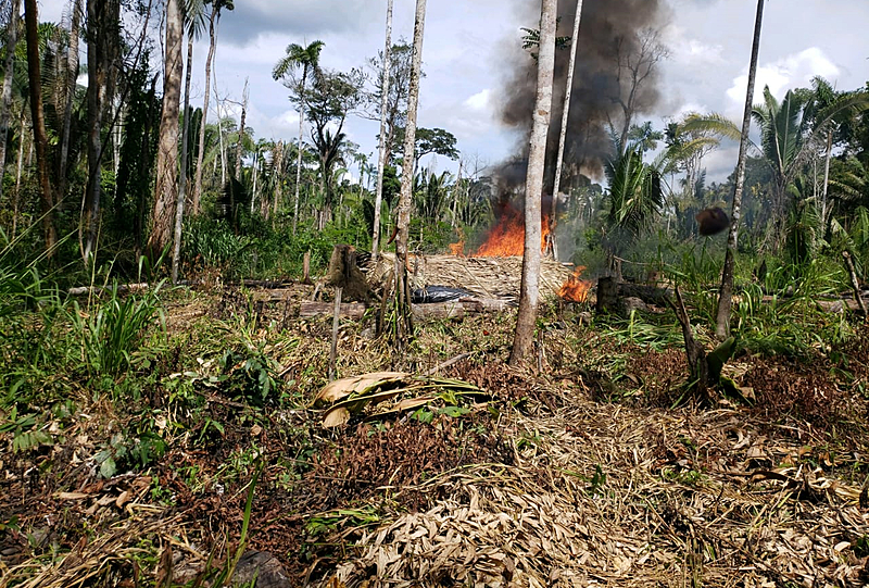 BRASIL DE FATO: Liderança indígena do povo Uru-eu-wau-wau é assassinada em Rondônia