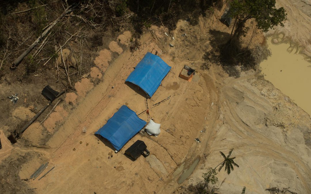 GREENPEACE: Governo Bolsonaro acelera projeto de destruição florestal em meio à pandemia