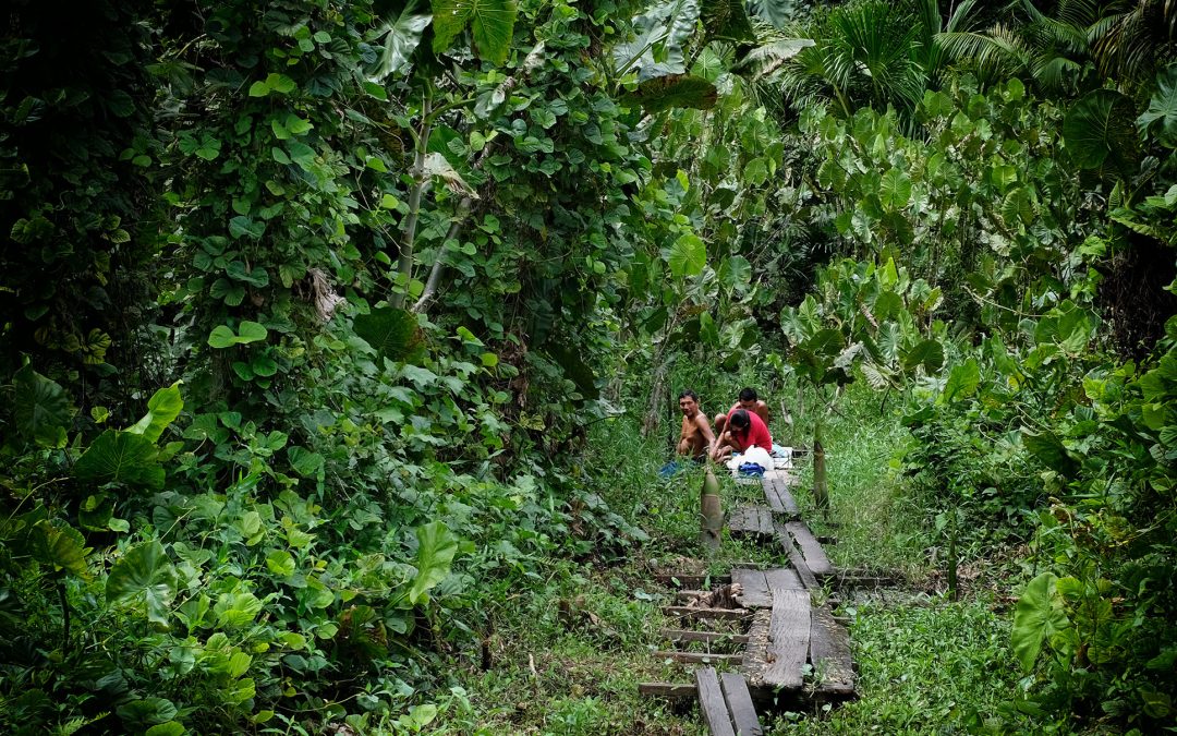 AMAZÔNIA REAL: Mais dois indígenas morrem por Covid-19 e Ministério da Saúde alerta para contágio dentro de hospitais de Manaus