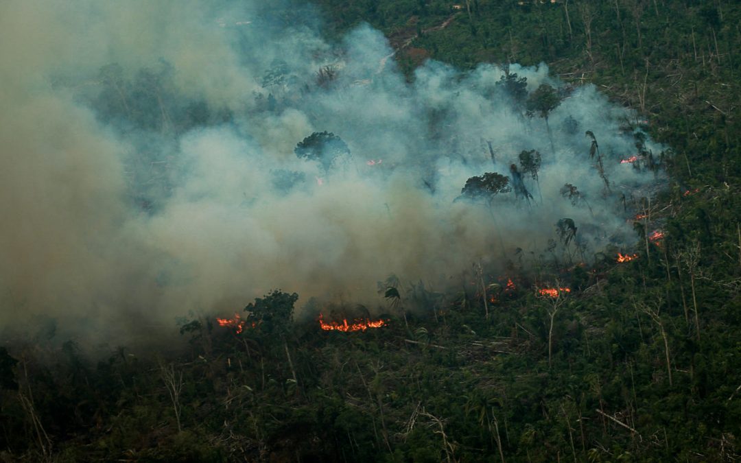 AMAZÔNIA REAL: Coronavirus, desmatamento e fogo na Amazônia