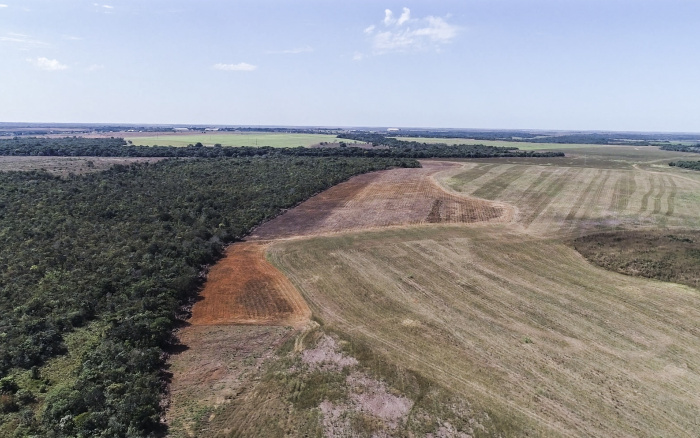 ISA: Desmatamento ilegal avança no Mato Grosso e pressiona Território Indígena do Xingu