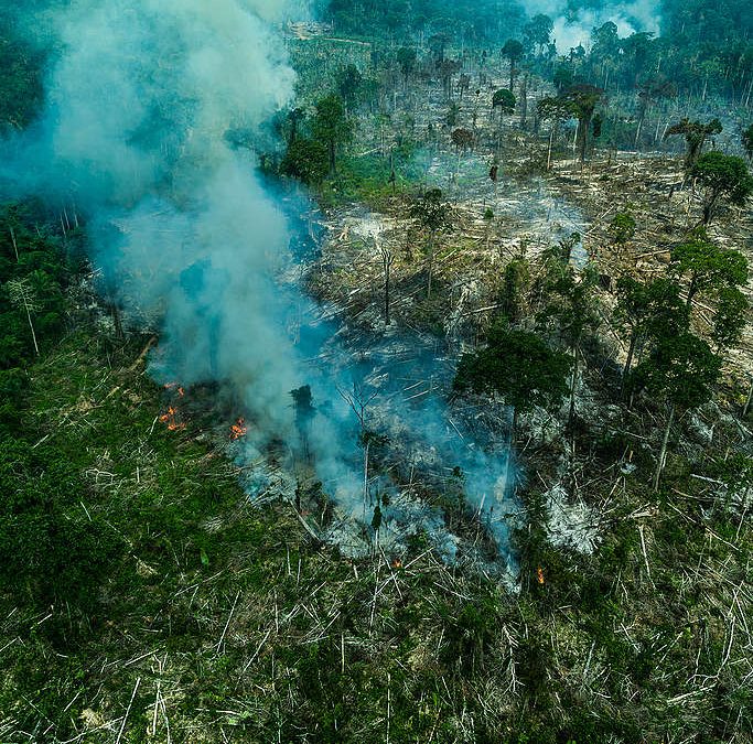 GREENPEACE: Ituna-Itatá: uma terra indígena da Amazônia tomada por ganância e destruição