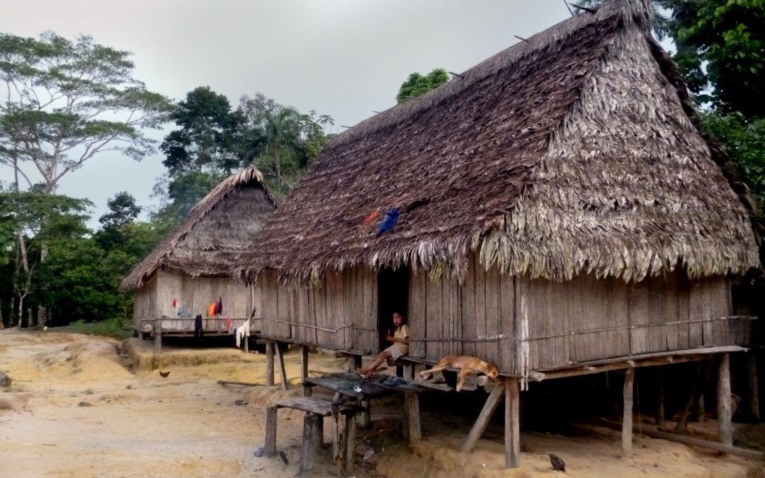 AMAZÔNIA REAL: Vale do Javari, no Amazonas, vive dias de apreensão com chegada da Covid-19 e aumento de invasões