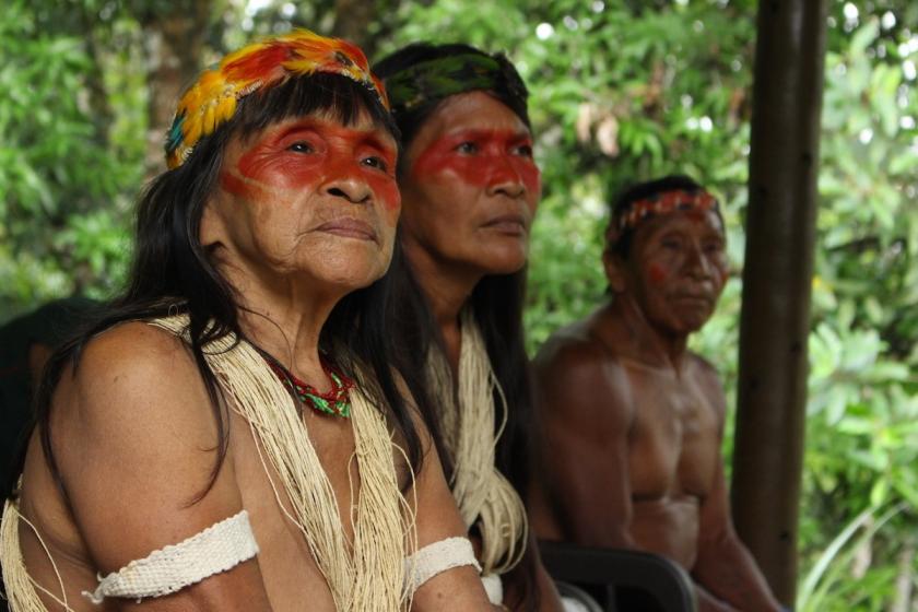 ONU BRASIL: ONU Mulheres divulga pedido de apoio aos povos indígenas na resposta à COVID-19
