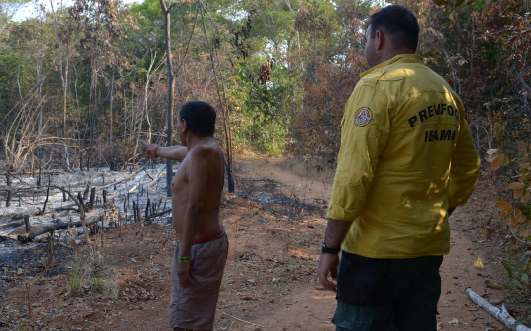AMAZÔNIA REAL: Ao alterar demarcação, Funai infla violência e risco de queimadas nas terras Indígenas do Mato Grosso