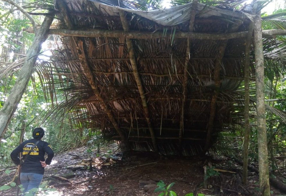AMAZÔNIA NOTÍCIA E INFORMAÇÃO: Polícia e Funai flagram garimpo e extração de madeira em torno de terra indígena de RO