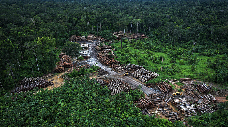 BRASIL DE FATO: Com desmatamento em alta, Bolsonaro prorroga controle de militares sobre a Amazônia