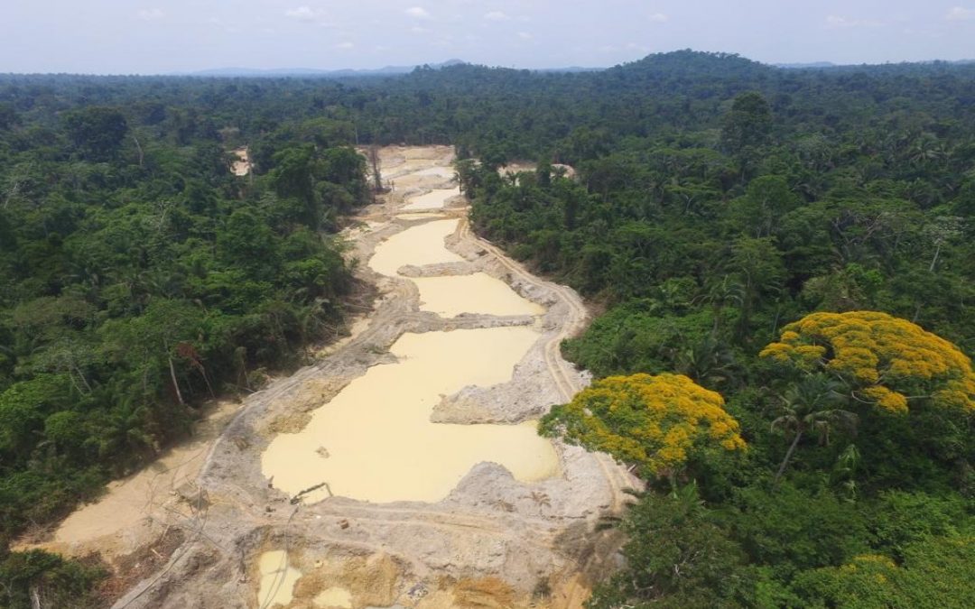 AMAZÔNIA NOTÍCIA E INFORMAÇÃO: Terra Indígena Yanomami é a área protegida mais pressionada da Amazônia