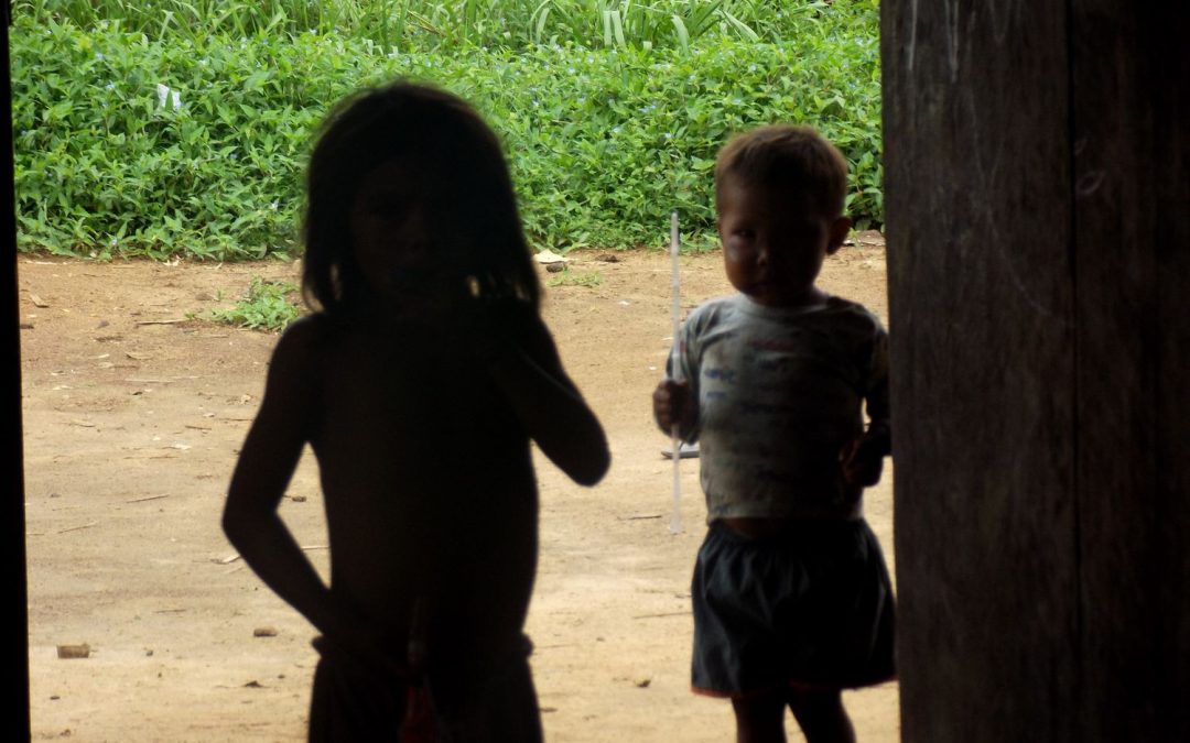 AMAZÔNIA NOTÍCIA E INFORMAÇÃO: Mães Yanomami imploram pelos corpos de seus bebês