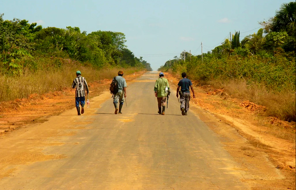 AMAZÔNIA REAL: BR-319 ameaça povos indígenas 4:– A inviabilidade econômica da estrada