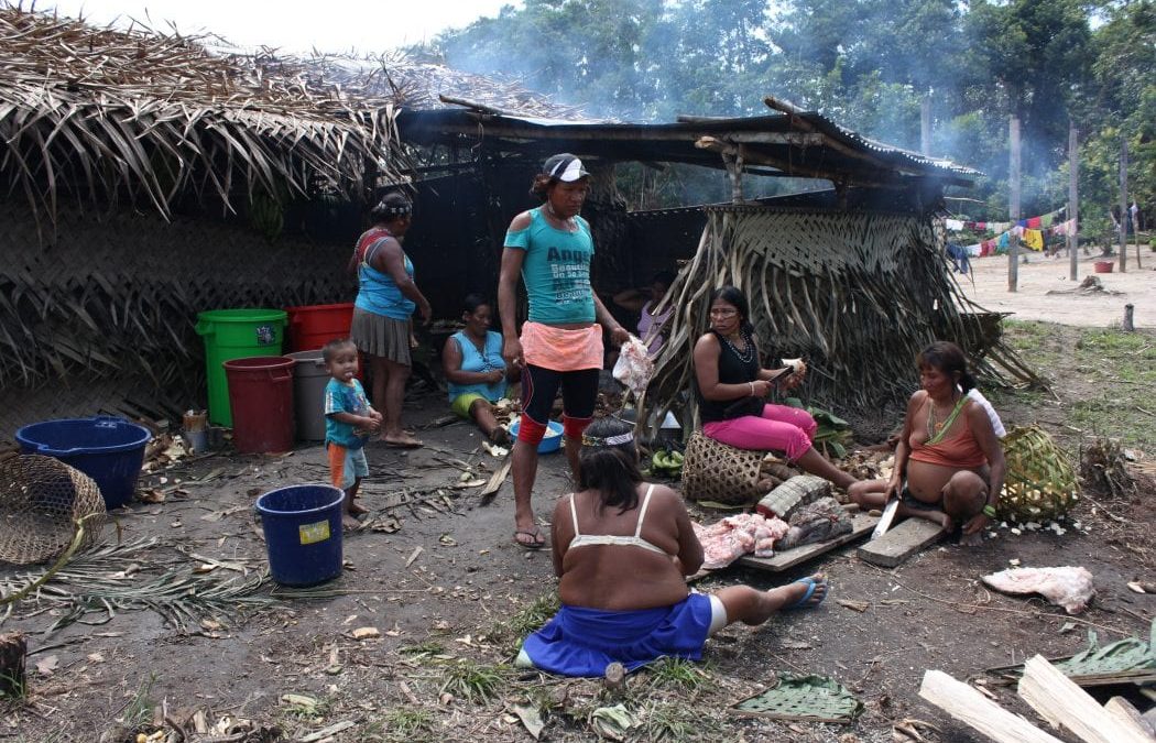 CIMI: Pandemia no Vale do Javari, região com povos livres, leva o MPF a fazer recomendações a órgãos governamentais