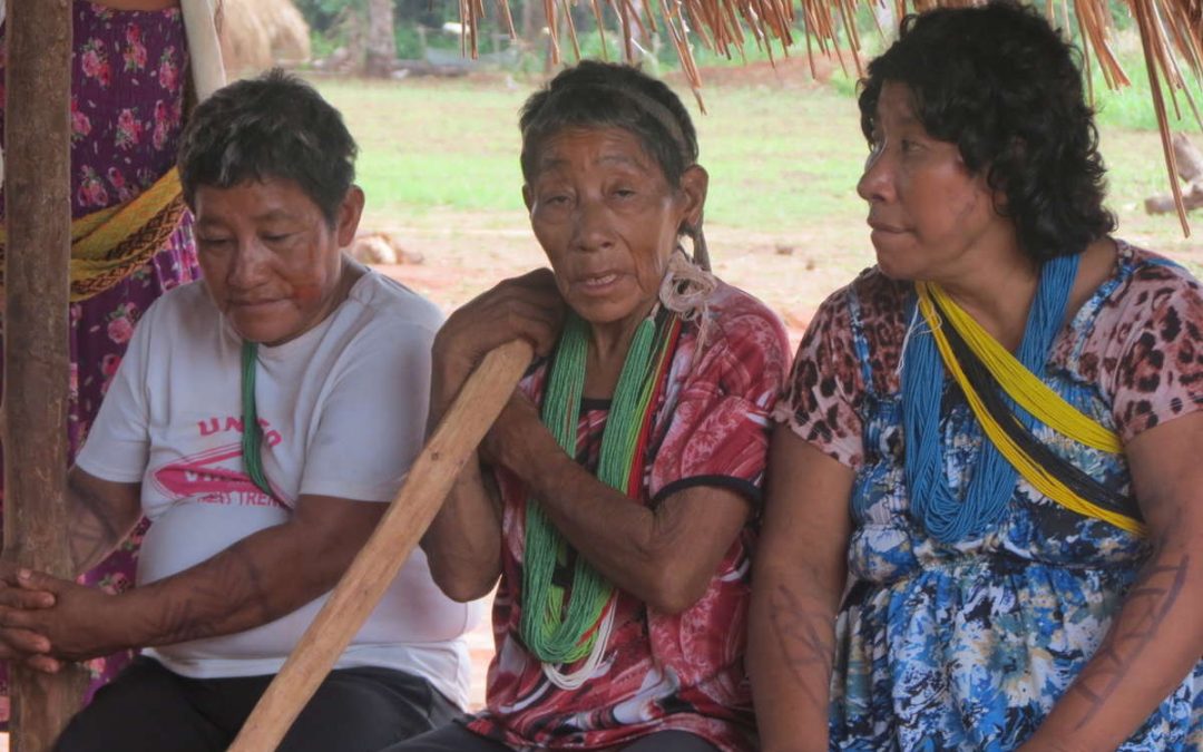 SURVIVAL: Indígenas de recente contato do Pará são os “mais infectados” do país