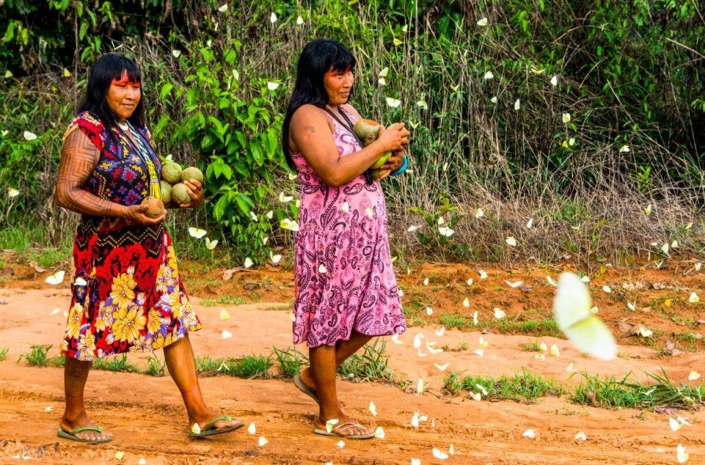 ONU BRASIL: OPAS divulga orientações para reduzir a transmissão da COVID-19 entre populações indígenas e afrodescendentes