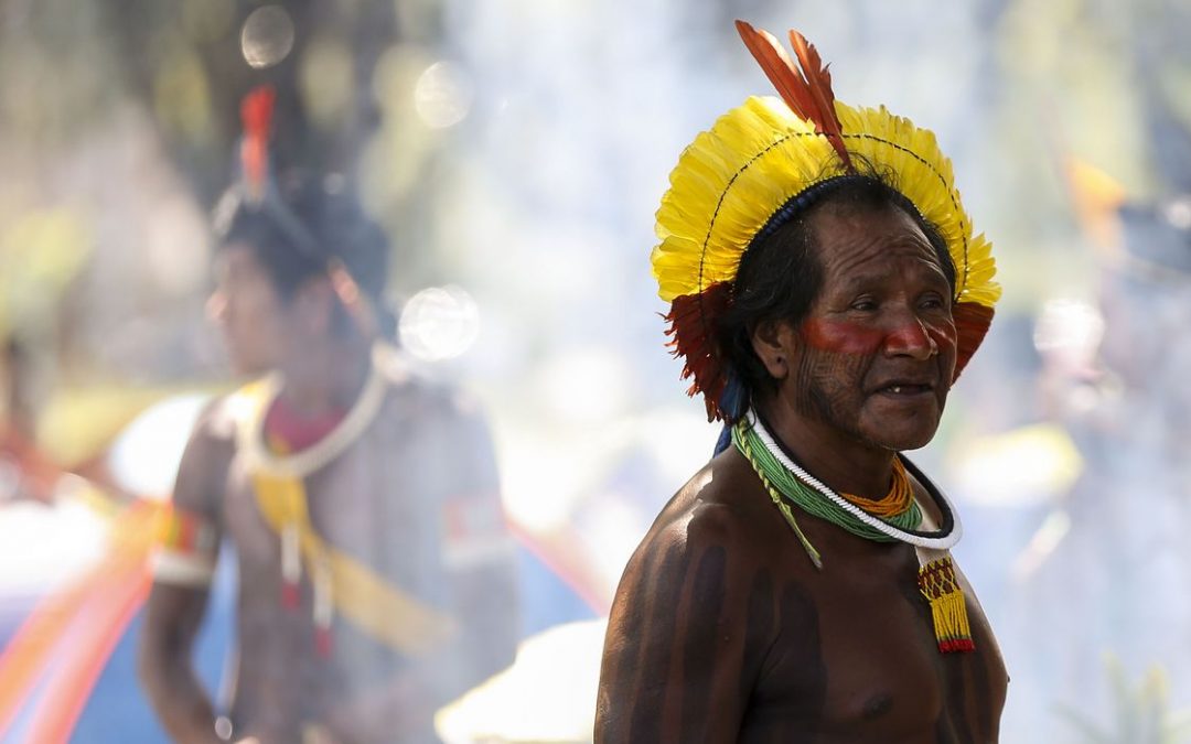 AMAZÔNIA NOTÍCIA E INFORMAÇÃO: Justiça determina medidas de proteção para Terra Indígena Yanomami