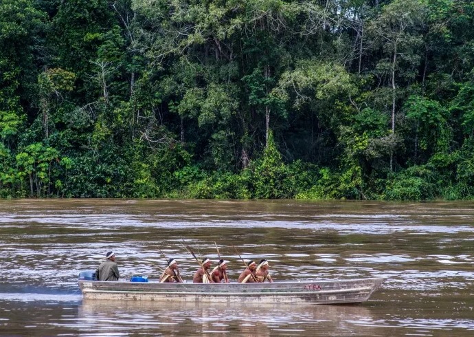 DE OLHO NOS RURALISTAS: Famílias indígenas na TI Vale do Javari saem remando para o meio do mato, em fuga da pandemia