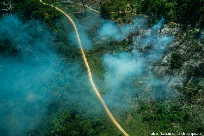 ISA: Tragédia anunciada: organizações alertam para explosão do desmatamento na Amazônia Legal