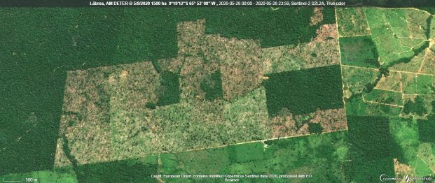 CONGRESSO EM FOCO: Desmatamento na Amazônia dobra em 2020 e bate com folga o recorde de 2019